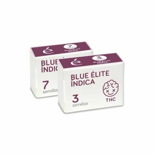 Blue Elite Indica - Elite Seeds cannabis seed bank