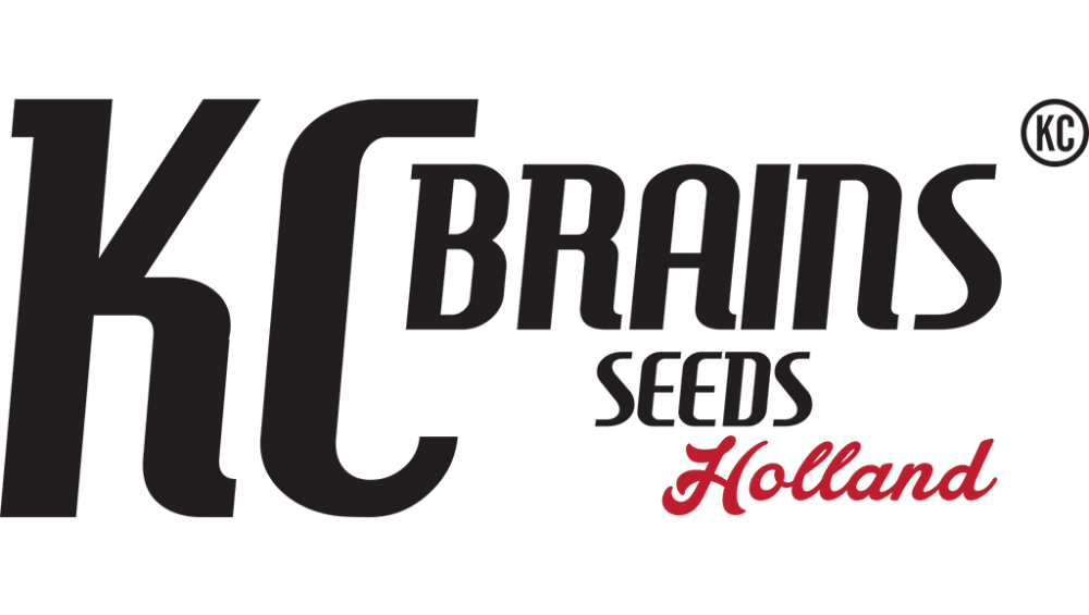 K.C. Brains Seeds